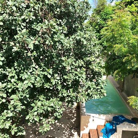 Casa "La 44" Bed & Breakfast Merida Bagian luar foto