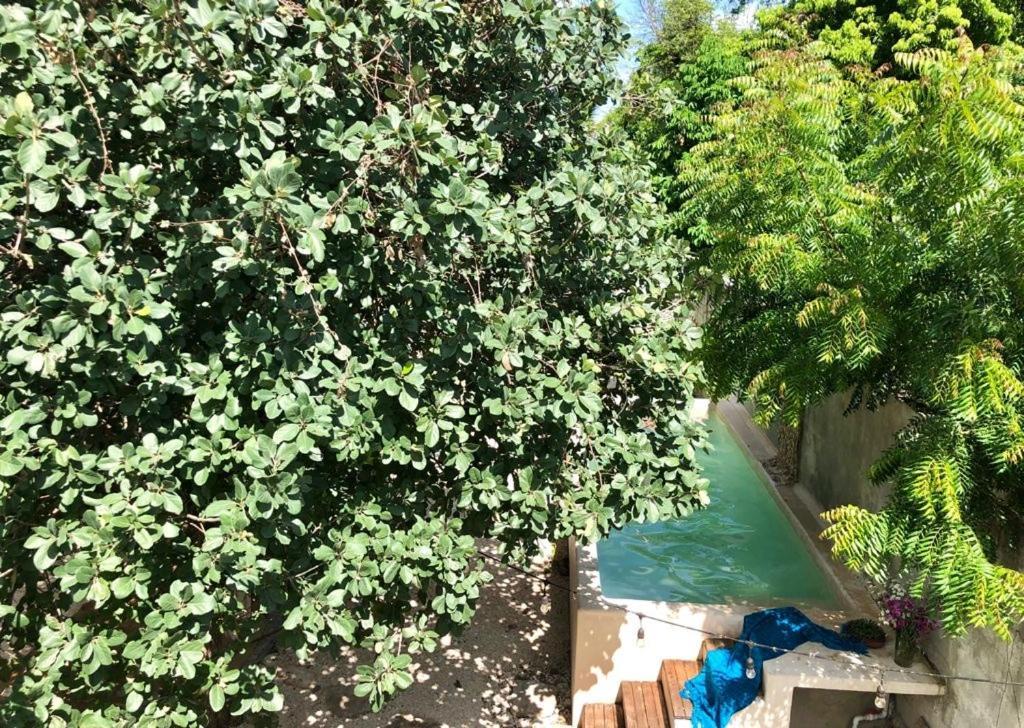 Casa "La 44" Bed & Breakfast Merida Bagian luar foto
